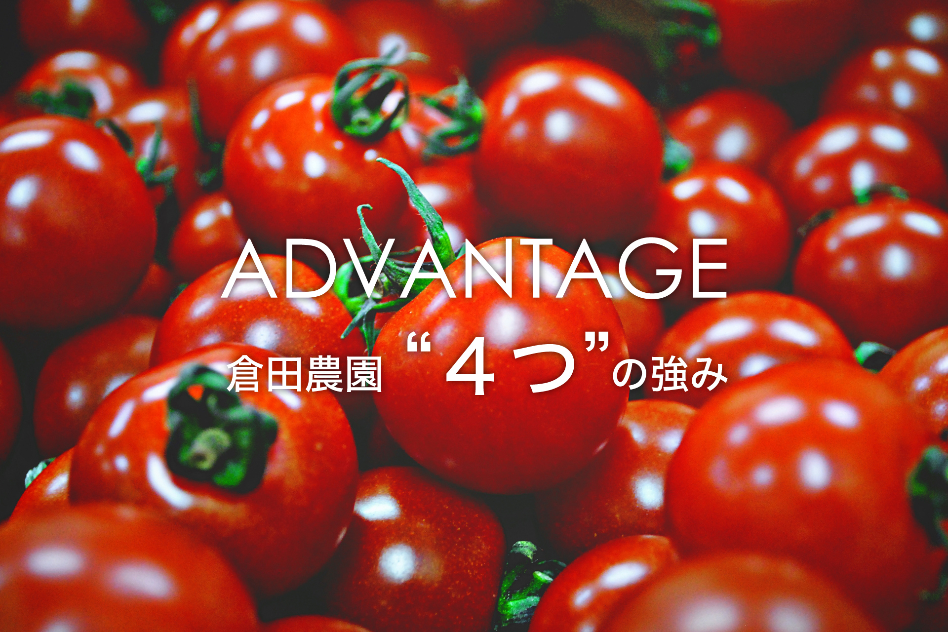 倉田農園４つの強み