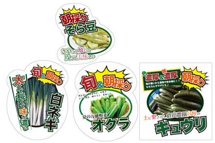 野菜の特性POP