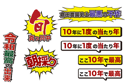 インパクト＆面白系POP