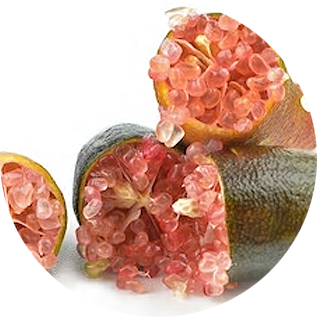 フィンガーライム