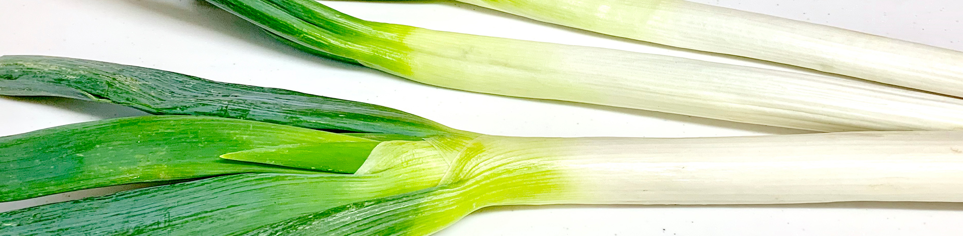 白ネギ