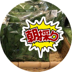 朝採り野菜