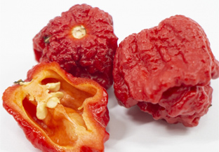 キャロライナリーパー