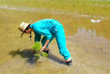倉田農園の若い力