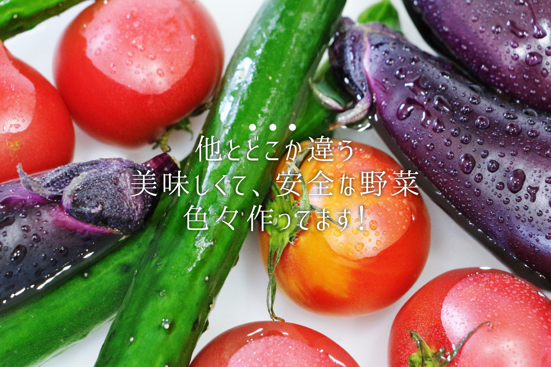 他とは違う野菜です